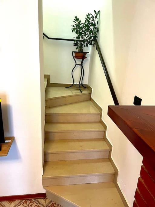 Casa Vacanze Ca' Di Lucchini San Benedetto Val di Sambro Екстер'єр фото